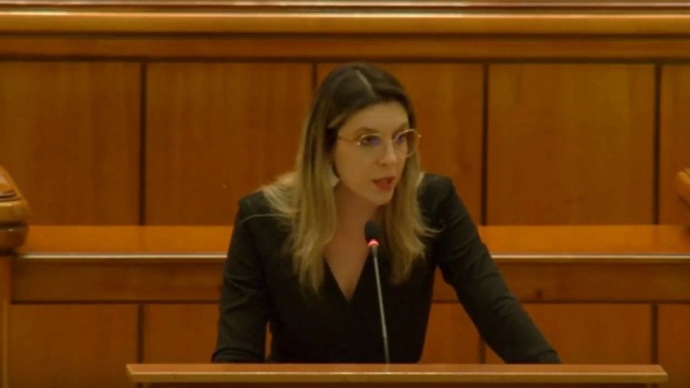 Diana Buzoianu în Parlament: Acest circ îi costă pe români 2,2 miliarde de euro