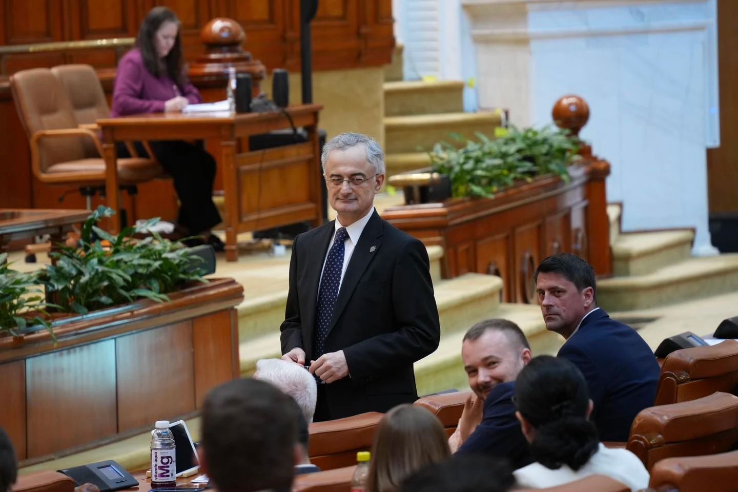 Liberalul Gabriel Andronache: Ilie Bolojan poate fi desemnat din nou prim-ministru