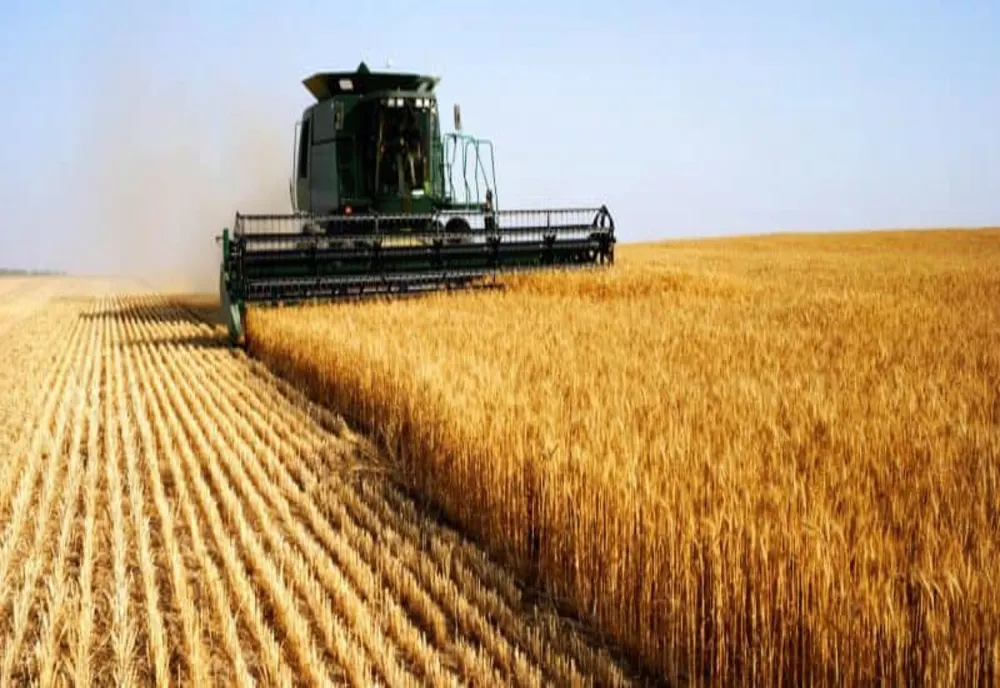 Dan Motreanu, eurodeputat: "Noua Politică Agricolă Comună (PAC) va consolida drepturile lucrătorilor sezonieri"
