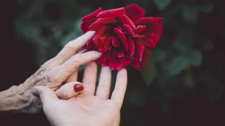 editorial_laurentiu_botin_batranete