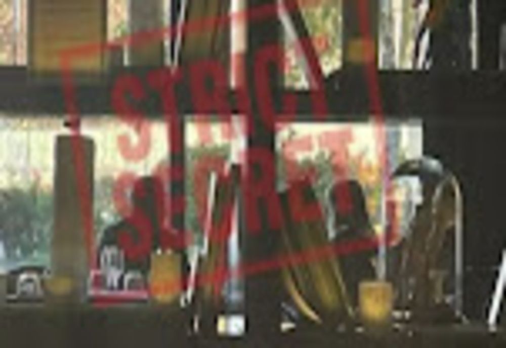 Întâlnire de TAINĂ între Elena Udrea și Ionel Arsene la „Stejarii”! CE pun la cale - Dezvăluiri la „Culisele statului paralel”