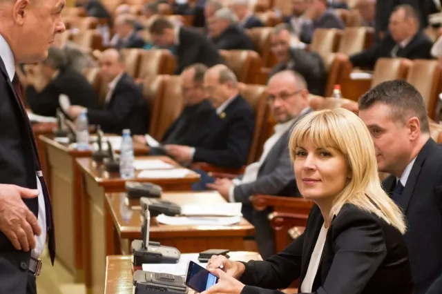 Elena Udrea, despre criza politică: Alin Tișe ar putea forma o majoritate PSD–PNL–minorități
