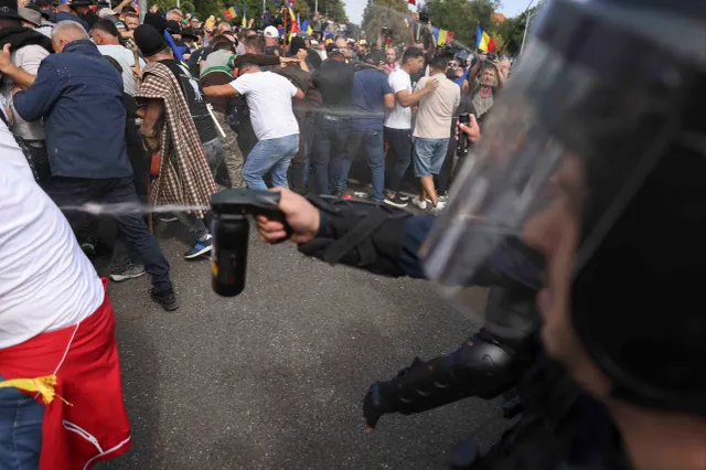 Guvernul reacționează după protestul ciobanilor din Piața Victoriei. Ce măsuri sunt anunțate pentru sectorul ovin