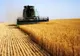Dan Motreanu, eurodeputat: "Noua Politică Agricolă Comună (PAC) va consolida drepturile lucrătorilor sezonieri"