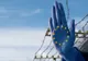 Europarlamentarul PMP Eugen Tomac: Nici Olanda nu aplică legislația Schengen. Documentul care ajută România
