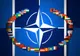 Reacția NATO după ce au fost găsite, pentru a treia oară, bucăți de drone în Tulcea