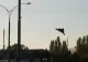 ALERTĂ la Galați: Dronă doborâtă de un F-18 spaniol în spațiul aerian al României. Ce spune prefectul județului