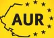 Proiect de lege AUR: victimele violenței domestice vor fi informate obligatoriu, în scris, despre drepturile lor încă de la primul contact cu autoritățile